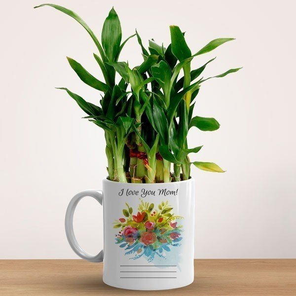Bamboo Plant In Personalised Mug Gift For Mom - Flowers to Nepal - FTN
