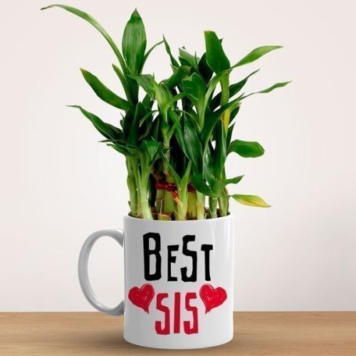 Bamboo Plant Mug Gift For Best Sis - Flowers to Nepal - FTN