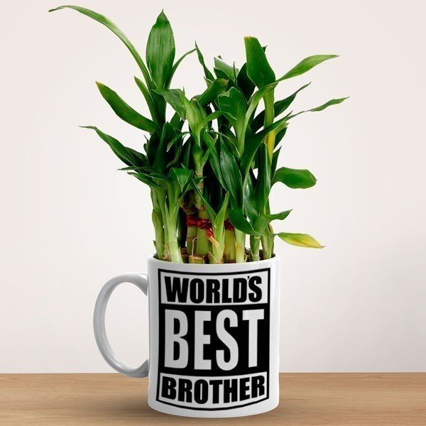 Bamboo Plant Mug Gift For World Best Brother - Flowers to Nepal - FTN