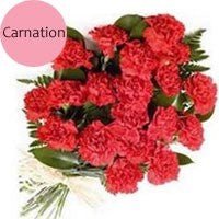 Beautiful 20 Red Carnations Bunch - Flowers to Nepal - FTN