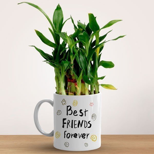 "Best Friend Forever" Printed Mug & Bamboo Plant Gift - Flowers to Nepal - FTN