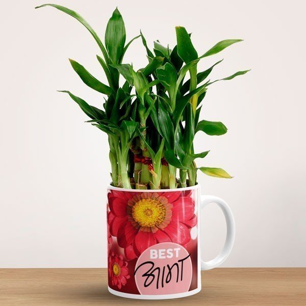 Ceramic Mug With Lucky Bamboo Gift For Mom - Flowers to Nepal - FTN