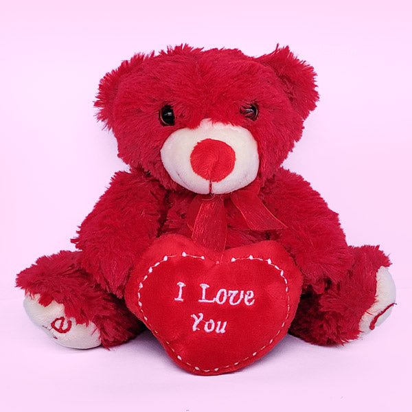 Cute 10 Inch Teddy Bear with 'I Love You' Cushion - Flowers to Nepal - FTN