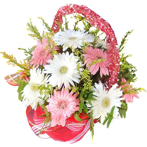Daisy Gerbera Flowers Cheer Up Basket - Flowers to Nepal - FTN