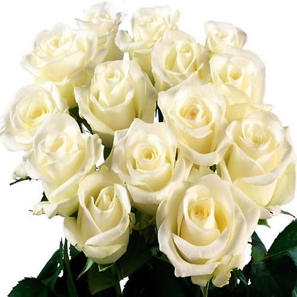 Elegant One Dozen White Roses Bunch - Flowers to Nepal - FTN