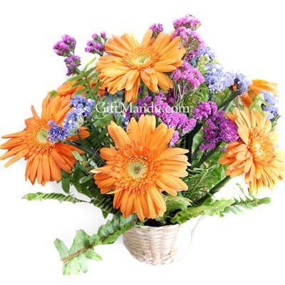 Fresh Orange Gerbera Daisy Flowers Basket - Flowers to Nepal - FTN