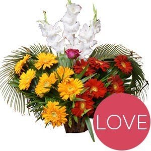 Gorgeous Red Yellow Gerbera And White Gladiolus Basket - Flowers to Nepal - FTN