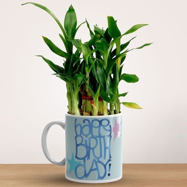 'Happy Birthday' Printed Ceramic Mug With Lucky Bamboo - Flowers to Nepal - FTN