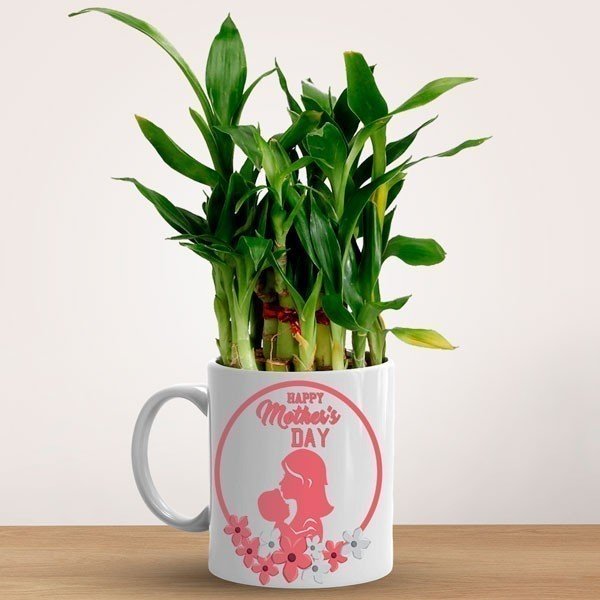 'Happy Mothers Day' Printed Ceramic Mug With Lucky Bamboo Plant - Flowers to Nepal - FTN