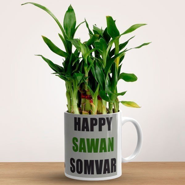 Happy Sawan Somvar Printed Bamboo Plant Mug - Flowers to Nepal - FTN