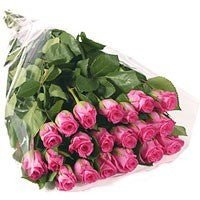 Long Stem 20 Pink Roses Bouquet - Flowers to Nepal - FTN