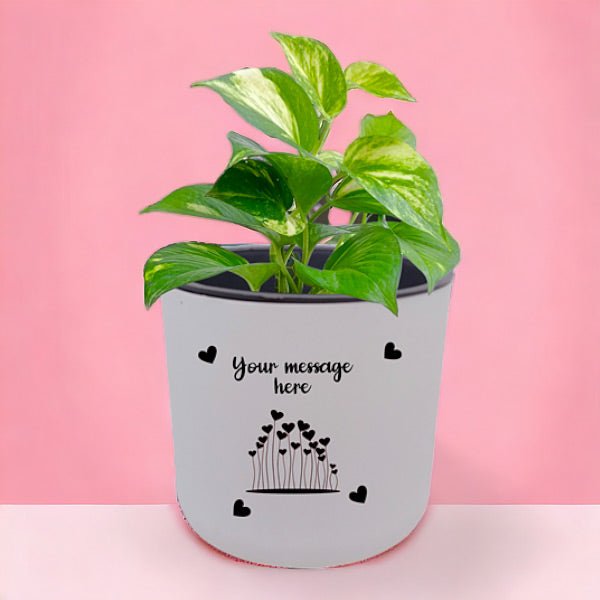 Money Plant Self Watering in a Self-Watering Personalized White Pot - Flowers to Nepal - FTN