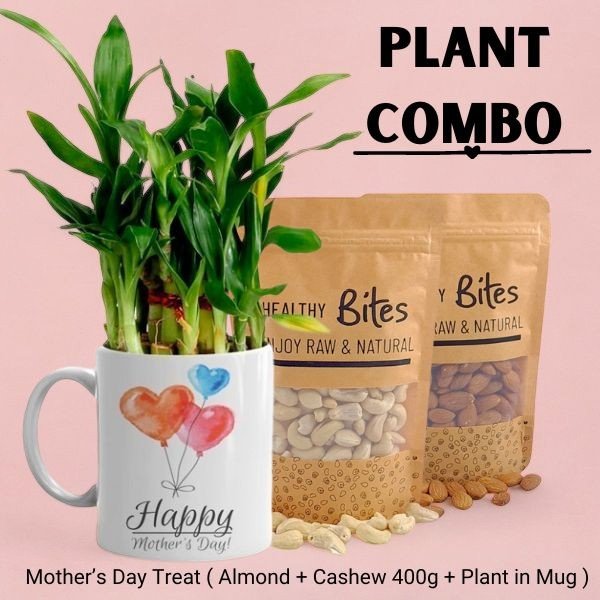 Mother's Day Treat ( Almond + Cashew 400g + Plant in Mug ) - Flowers to Nepal - FTN