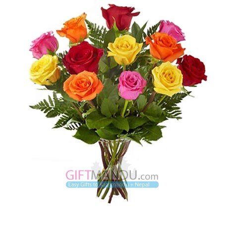 One Dozen Long Stem Rainbow Roses - Flowers to Nepal - FTN