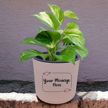 Load image into Gallery viewer, Self-Watering Personalized Pot with Elegant Indoor Money Plant - Flowers to Nepal - FTN
