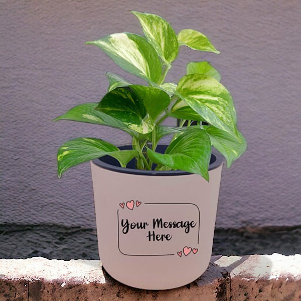 Self-Watering Personalized Pot with Elegant Indoor Money Plant - Flowers to Nepal - FTN