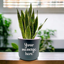 Load image into Gallery viewer, Self-Watering Personalized Pot with Snake Plant - Flowers to Nepal - FTN
