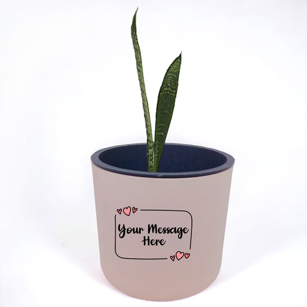 Snack Plant in Self-Watering Personalized Pot Gift - Flowers to Nepal - FTN