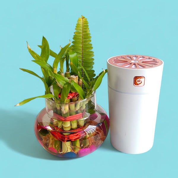 Three Layer Bamboo Plant & Humidifier Nature's Refreshing Duo - Flowers to Nepal - FTN
