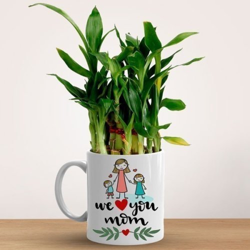 We Love You Mom-Printed Ceramic Mug With Lucky Bamboo Plant - Flowers to Nepal - FTN